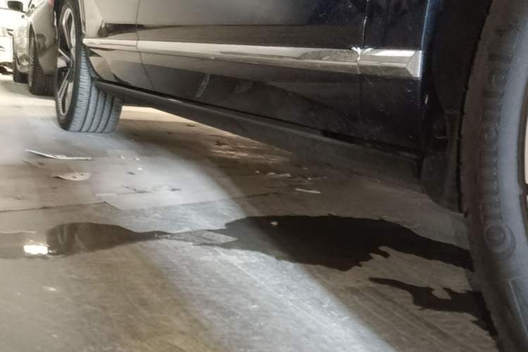Used Wey Lanshan 2025 Four-Wheel Drive Max Right Side Sill