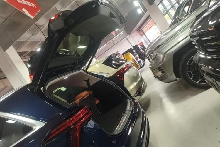 Used Wey Lanshan 2025 Four-Wheel Drive Max Trunk
