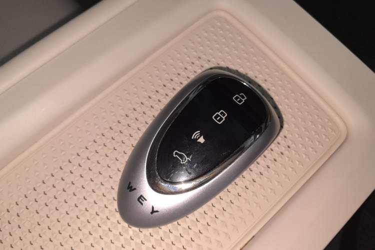 Used Wey Lanshan 2025 Four-Wheel Drive Max Vehicle Key
