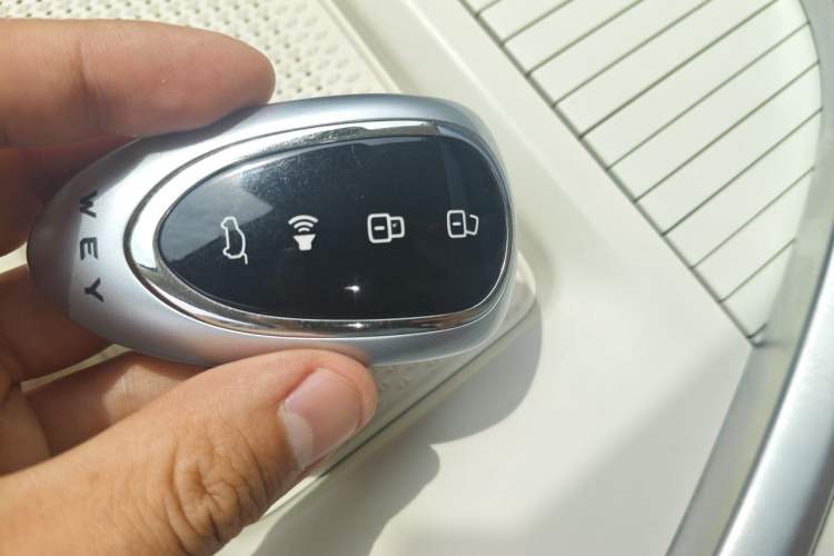 Used Wey Lanshan 2025 Four-Wheel Drive Ultra Vehicle Key
