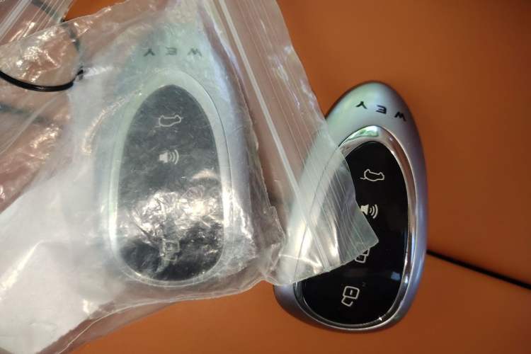 Used Wey Lanshan 2025 Four-Wheel Drive Max Vehicle Key