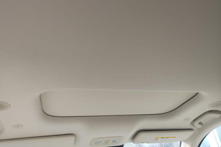 Used Wey Lanshan 2025 Four-Wheel Drive Max Headliner