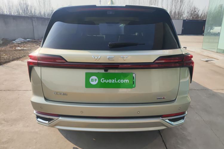 Used Wey Lanshan 2025 Four-Wheel Drive Max Rear