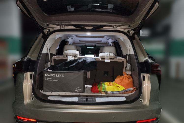 Used Wey Lanshan 2025 Four-Wheel Drive Max Trunk