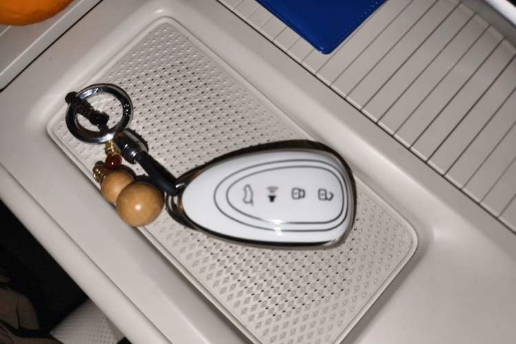 Used Wey Lanshan 2025 Four-Wheel Drive Max Vehicle Key