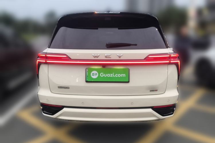 Used Wey Lanshan 2025 Four-Wheel Drive Max Rear
