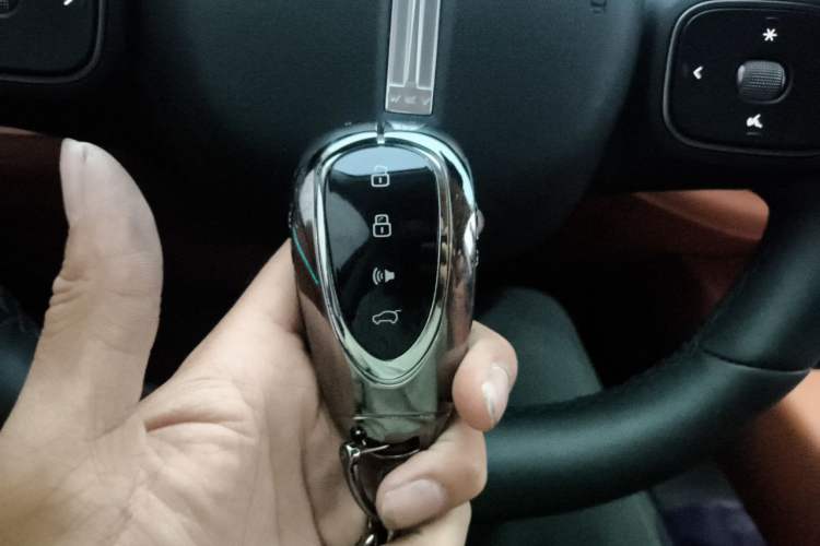 Used Wey Lanshan 2025 Four-Wheel Drive Max Vehicle Key
