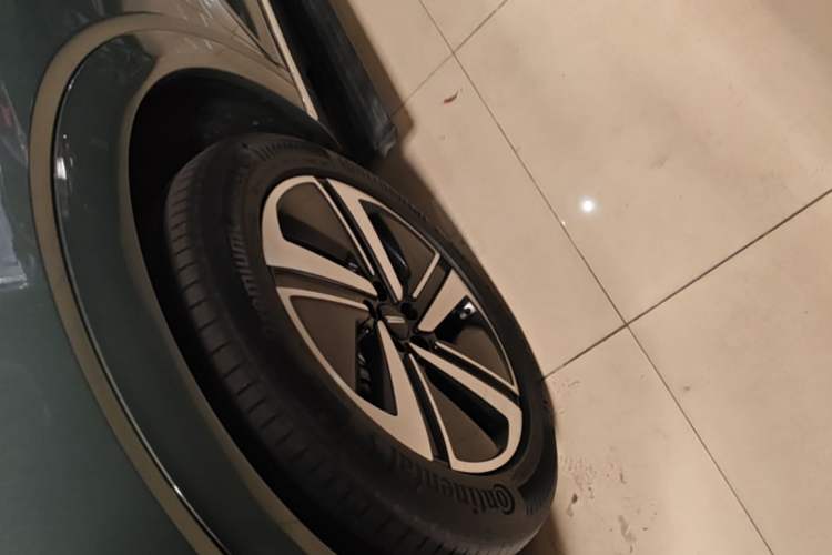 Used Wey Lanshan 2025 Four-Wheel Drive Max Exterior 4