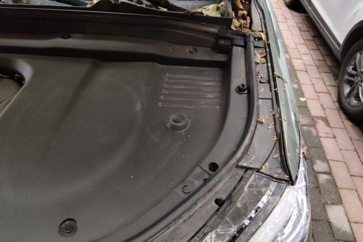 Used Wey Lanshan 2025 Four-Wheel Drive Max Engine Bay Left