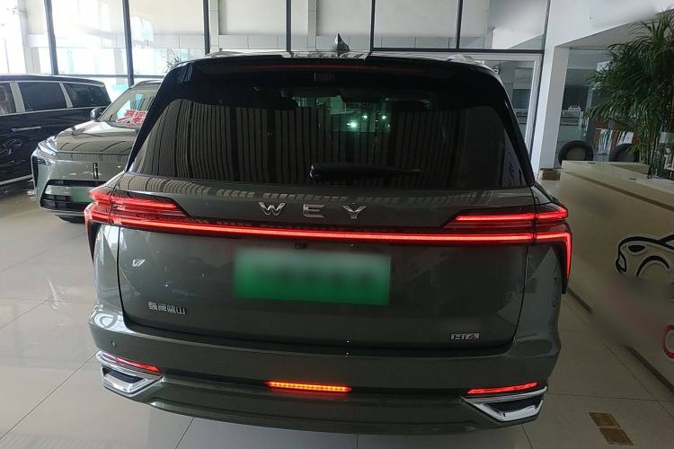 Used Wey Lanshan 2025 Four-Wheel Drive Ultra Exterior 4
