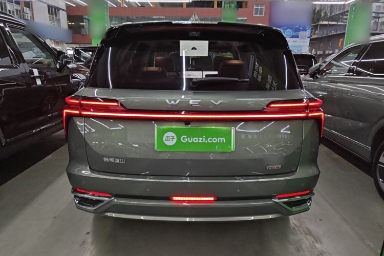 Used Wey Lanshan 2025 Four-Wheel Drive Ultra Exterior 4