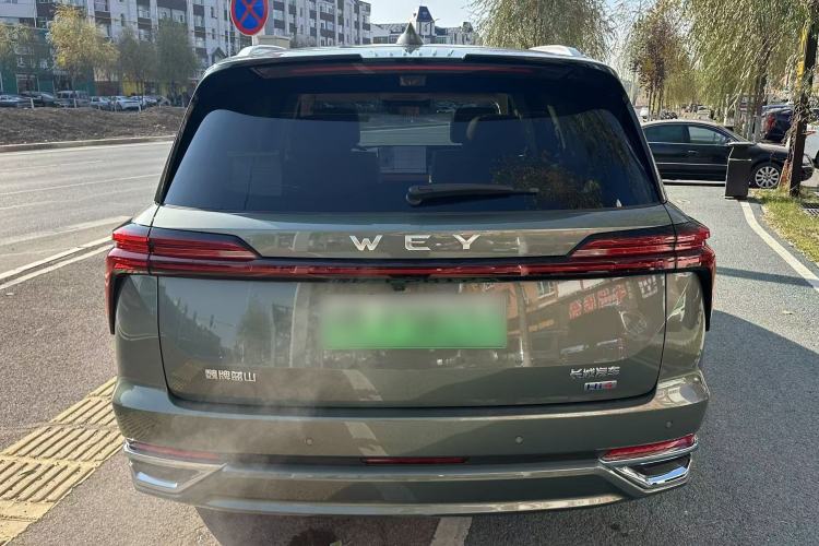 Used Wey Lanshan 2025 Four-Wheel Drive Ultra Exterior 4