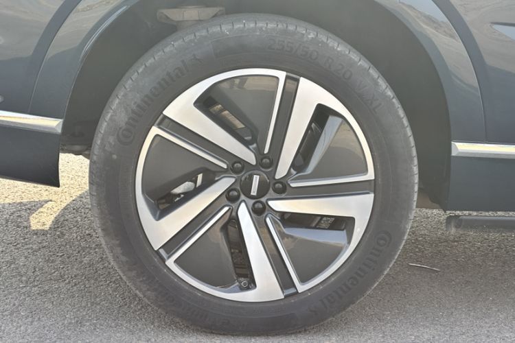 Used Wey Lanshan 2025 Four-Wheel Drive Max Exterior 5