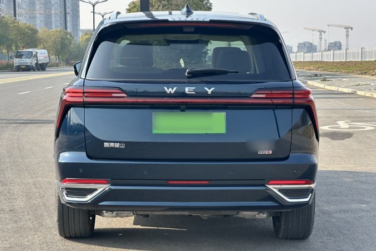 Used Wey Lanshan 2025 Four-Wheel Drive Max Exterior 9