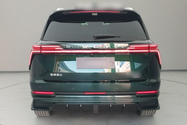 Used Wey Lanshan 2025 Four-Wheel Drive Max Exterior 9