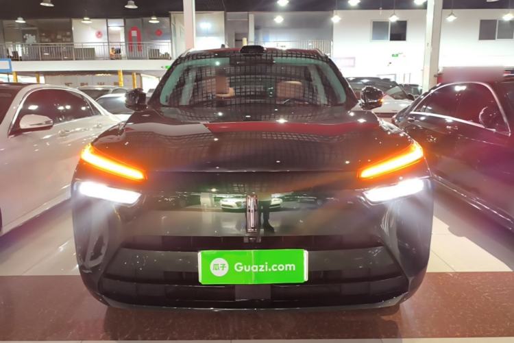 Used Wey Lanshan 2025 Four-Wheel Drive Max Front