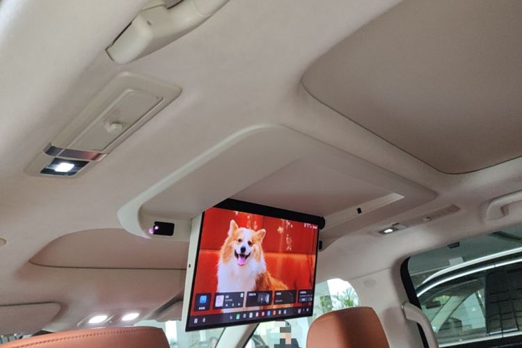Used Wey Lanshan 2025 Four-Wheel Drive Max Headliner