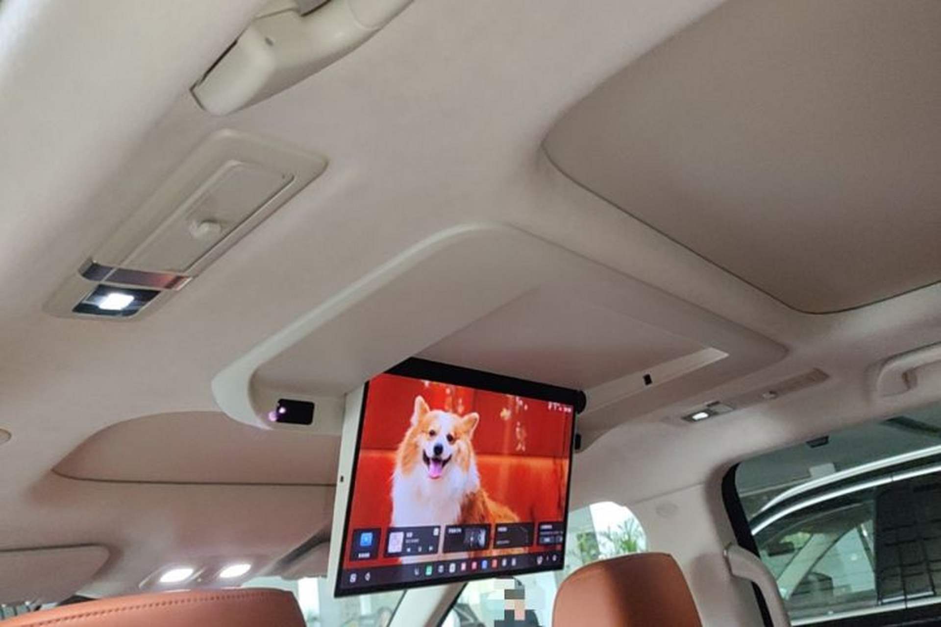 Used Wey Lanshan 2025 Four-Wheel Drive Max Headliner