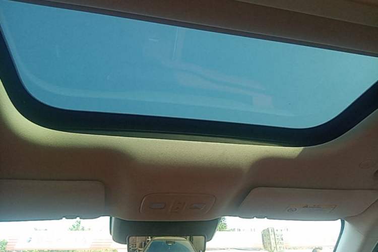 Used Wey Lanshan 2025 Four-Wheel Drive Max Headliner