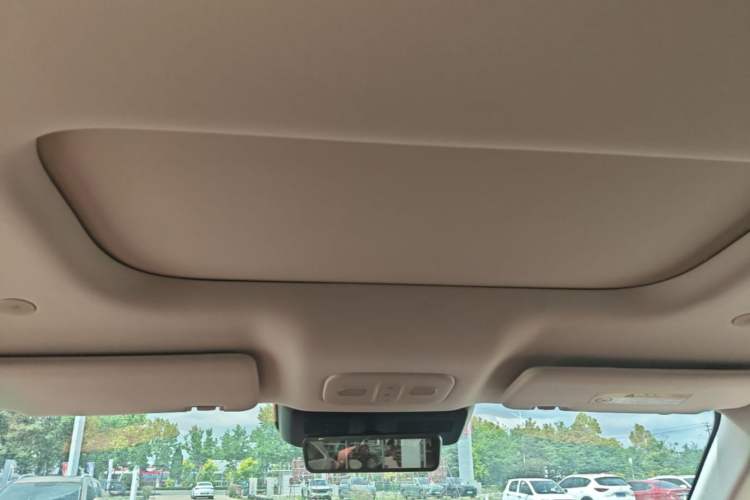 Used Wey Lanshan 2025 Four-Wheel Drive Max Headliner