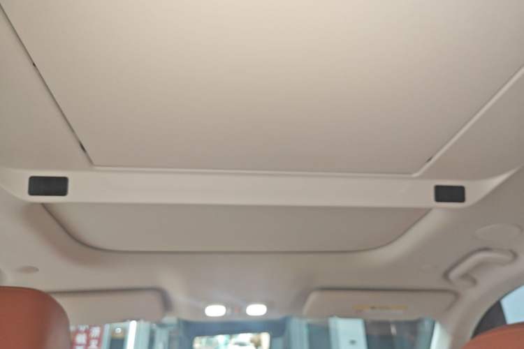 Used Wey Lanshan 2025 Four-Wheel Drive Max Headliner