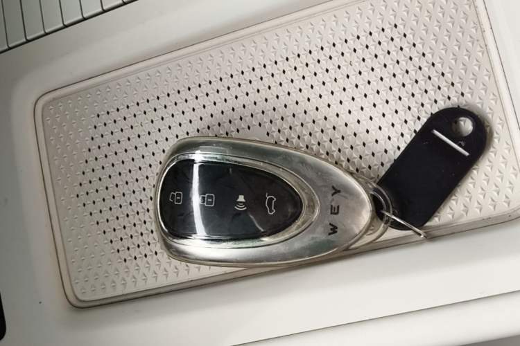 Used Wey Lanshan 2025 Four-Wheel Drive Ultra Interior 1