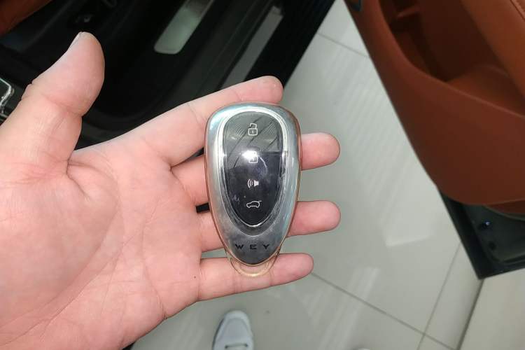 Used Wey Lanshan 2025 Four-Wheel Drive Ultra Interior 1