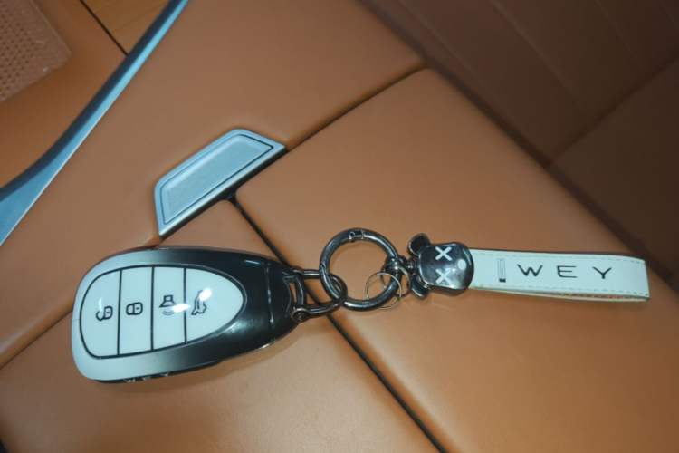 Used Wey Lanshan 2025 Four-Wheel Drive Max Interior 1