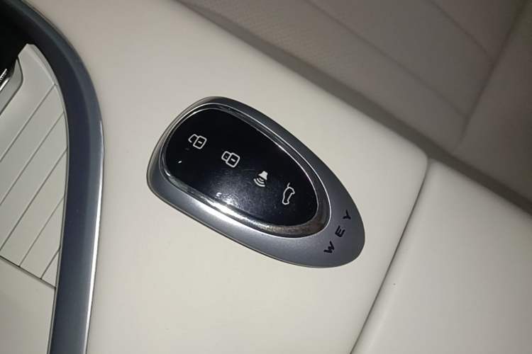 Used Wey Lanshan 2025 Four-Wheel Drive Ultra Interior 1