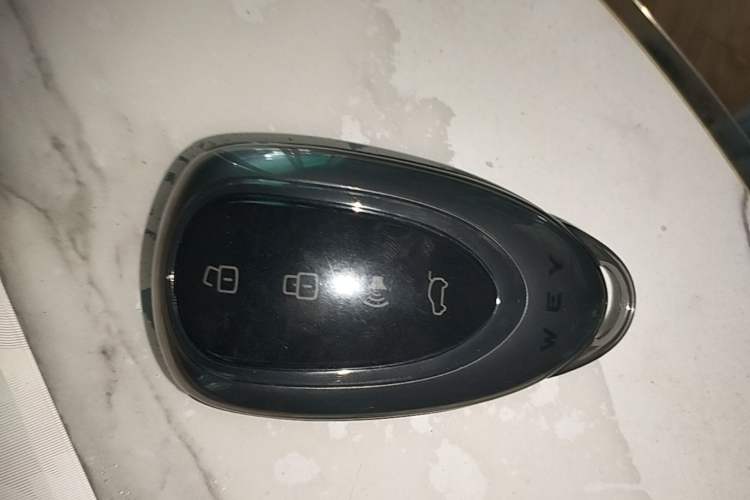 Used Wey Lanshan 2025 Four-Wheel Drive Ultra Interior 1