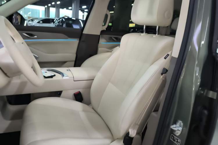 Used Wey Lanshan 2025 Four-Wheel Drive Ultra Left Front Seat