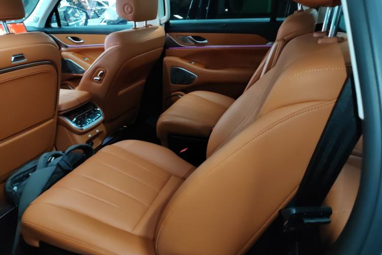 Used Wey Lanshan 2025 Four-Wheel Drive Ultra Left Rear Seat