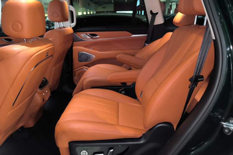 Used Wey Lanshan 2025 Four-Wheel Drive Max Left Rear Seat