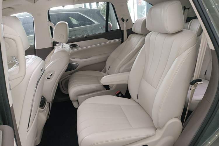 Used Wey Lanshan 2025 Four-Wheel Drive Max Left Rear Seat