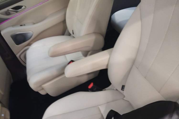 Used Wey Lanshan 2025 Four-Wheel Drive Max Left Rear Seat