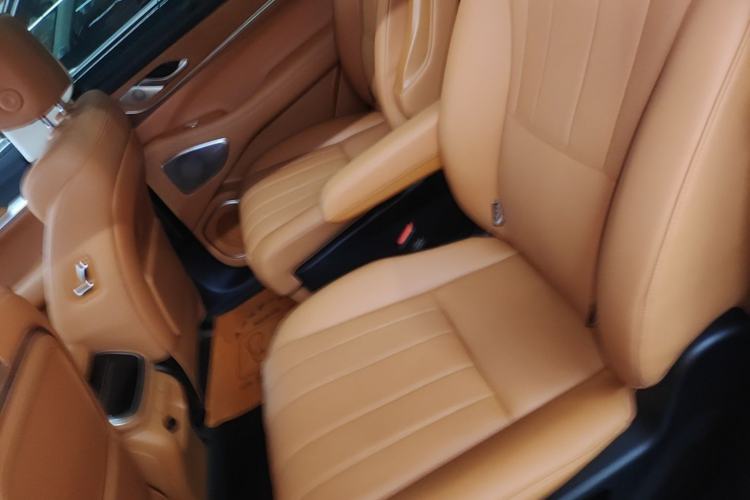 Used Wey Lanshan 2025 Four-Wheel Drive Ultra Left Rear Seat