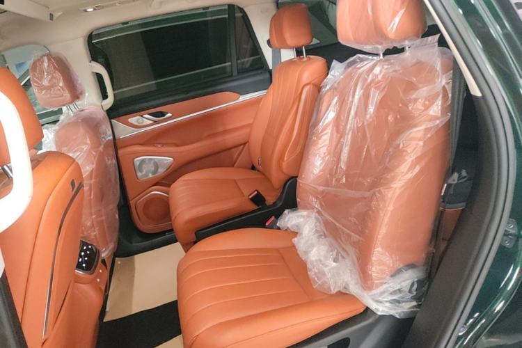 Used Wey Lanshan 2025 Four-Wheel Drive Max Left Rear Seat
