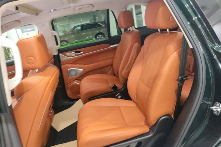 Used Wey Lanshan 2025 Four-Wheel Drive Max Left Rear Seat