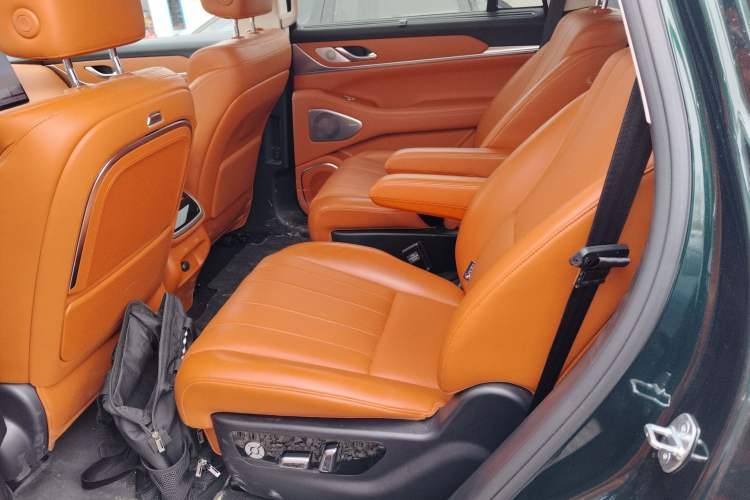 Used Wey Lanshan 2025 Four-Wheel Drive Max Left Rear Seat