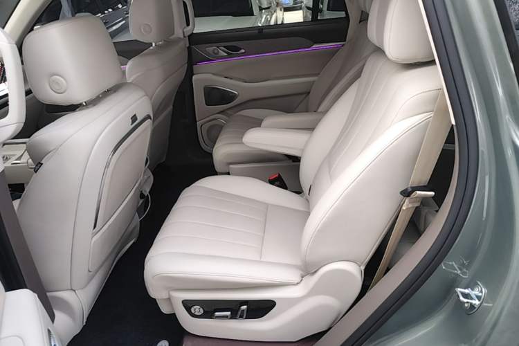 Used Wey Lanshan 2025 Four-Wheel Drive Ultra Left Rear Seat