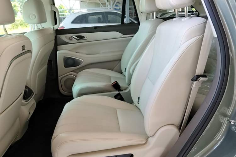 Used Wey Lanshan 2025 Four-Wheel Drive Max Left Rear Seat