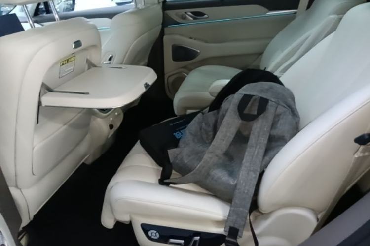 Used Wey Lanshan 2025 Four-Wheel Drive Max Left Rear Seat