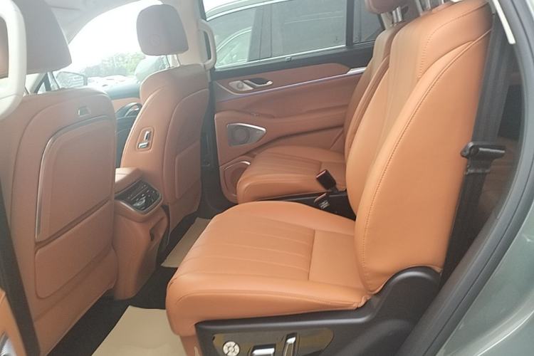 Used Wey Lanshan 2025 Four-Wheel Drive Ultra Left Rear Seat