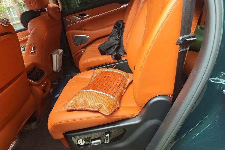 Used Wey Lanshan 2025 Four-Wheel Drive Max Left Rear Seat
