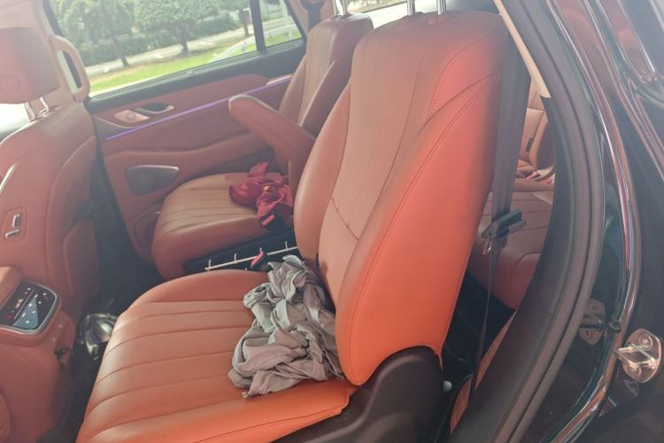 Used Wey Lanshan 2025 Four-Wheel Drive Max Left Rear Seat