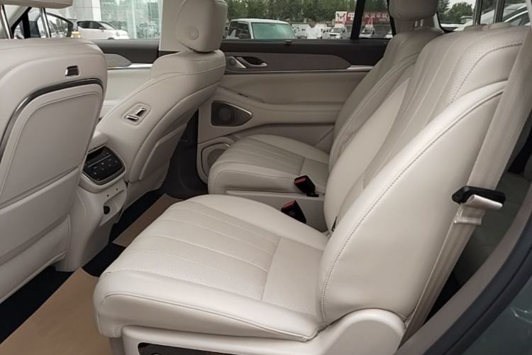 Used Wey Lanshan 2025 Four-Wheel Drive Ultra Left Rear Seat