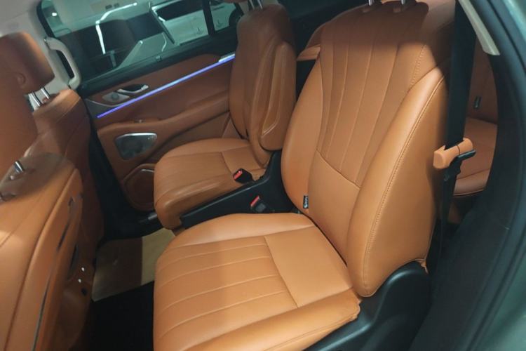 Used Wey Lanshan 2025 Four-Wheel Drive Ultra Left Rear Seat