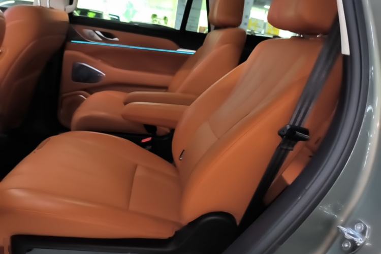 Used Wey Lanshan 2025 Four-Wheel Drive Max Left Rear Seat