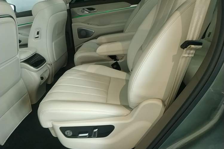 Used Wey Lanshan 2025 Four-Wheel Drive Max Left Rear Seat