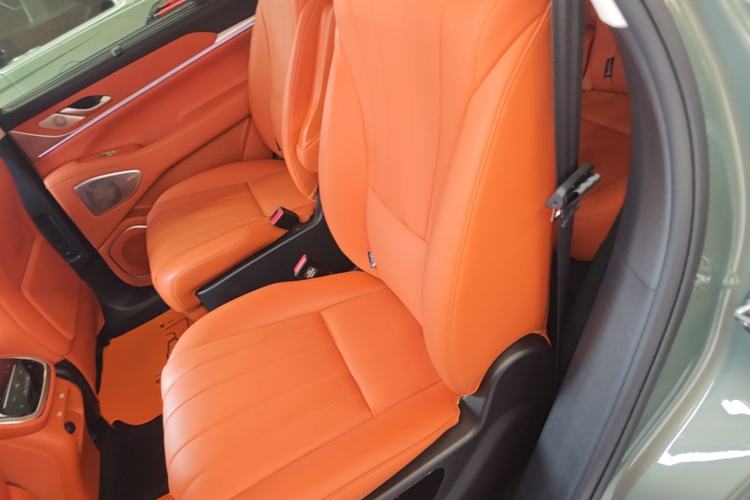 Used Wey Lanshan 2025 Four-Wheel Drive Ultra Left Rear Seat